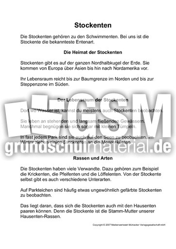 1-Fehlerlesen-Stockente-Text.pdf